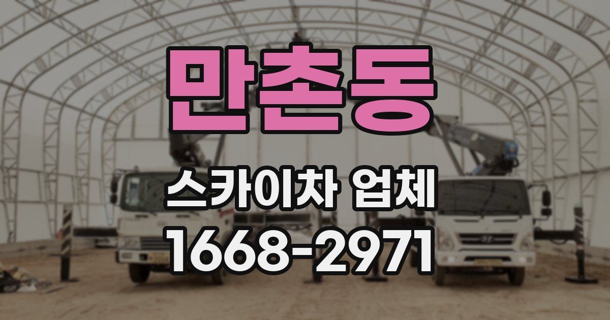 만촌동 스카이차 업체