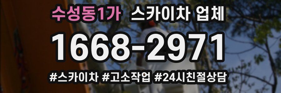 수성동1가 스카이차 업체