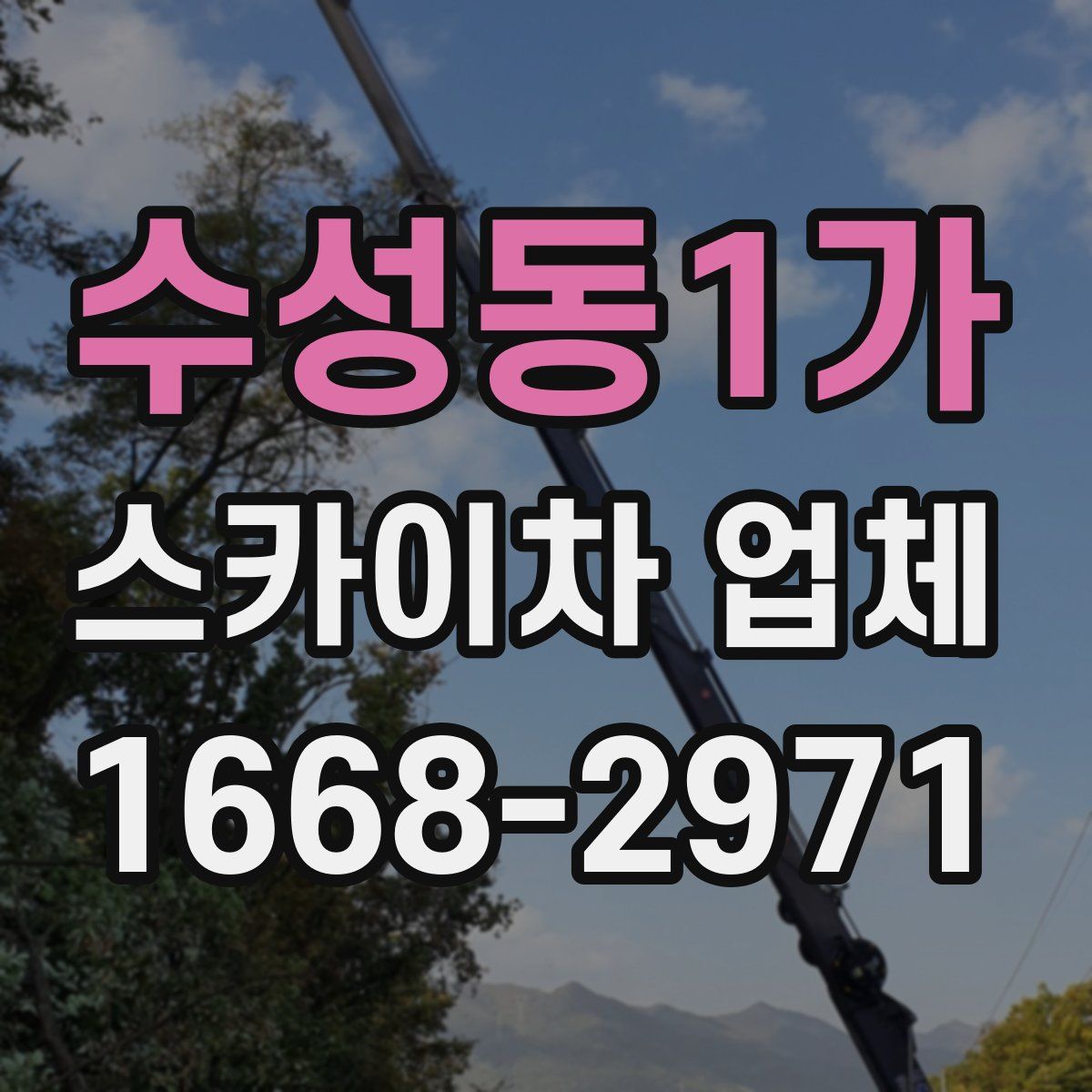 수성동1가 스카이차 업체