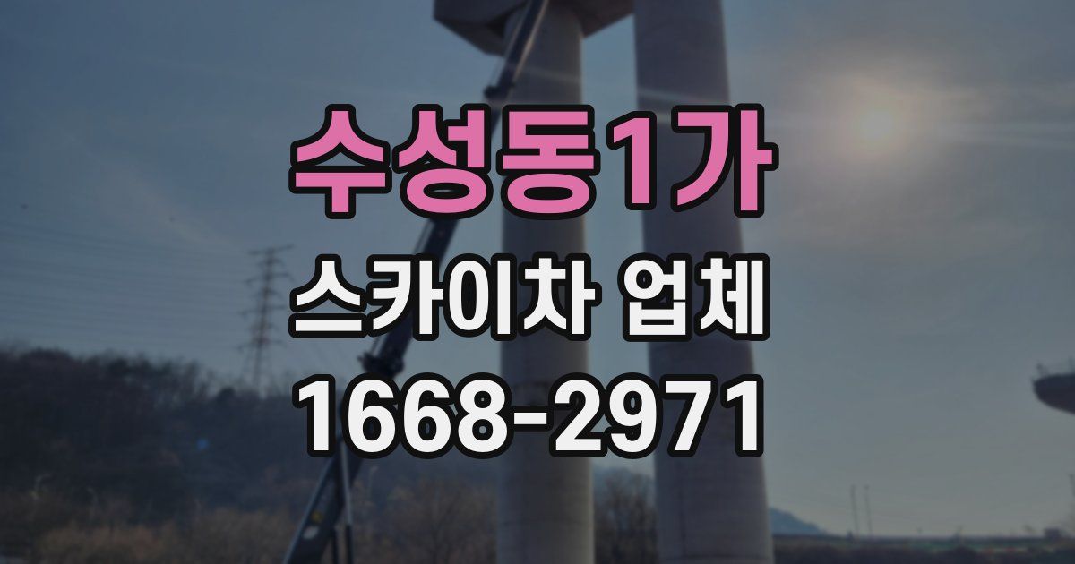 수성동1가 스카이차 업체