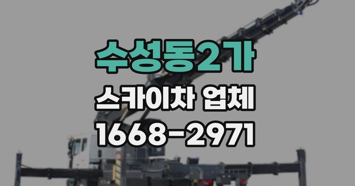 수성동2가 스카이차 업체
