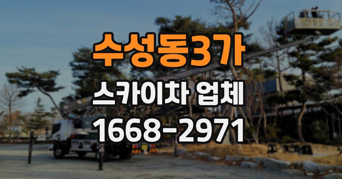 수성동3가 스카이차 업체