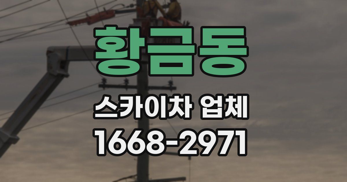 황금동 스카이차 업체