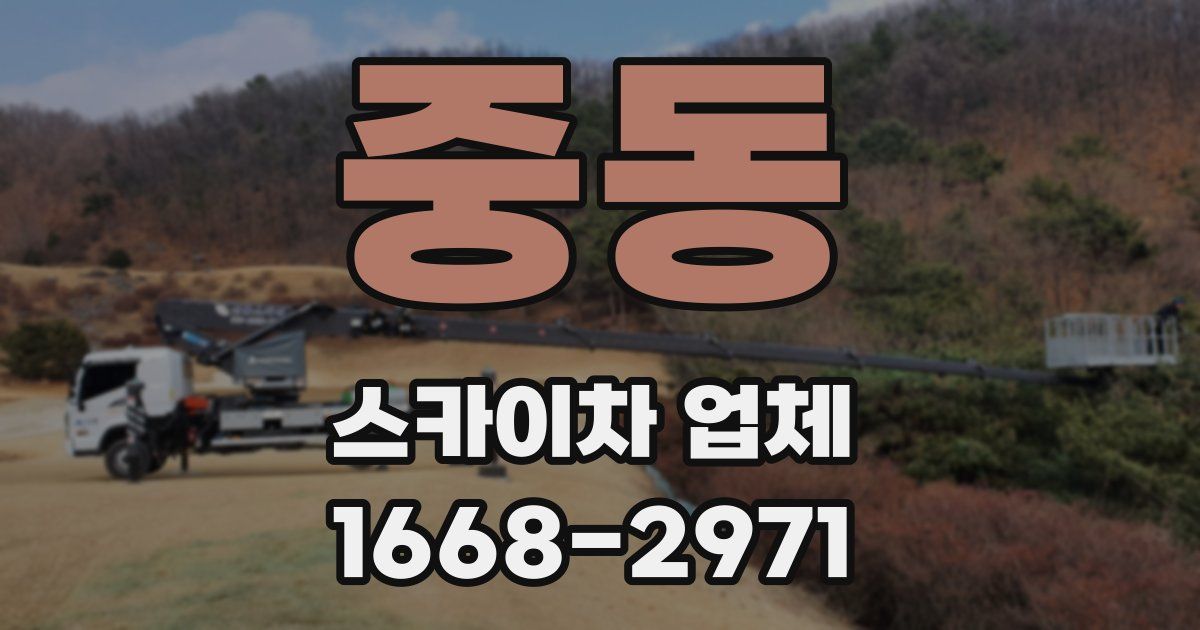 중동 스카이차 업체