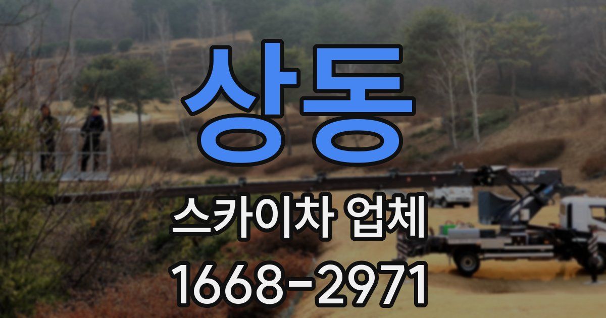 상동 스카이차 업체