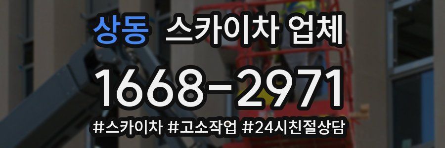 상동 스카이차 업체