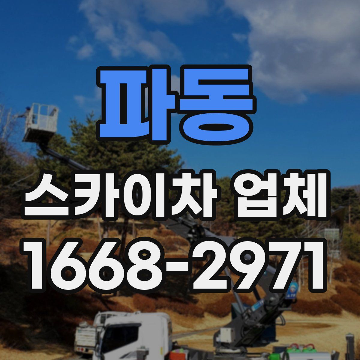 파동 스카이차 업체