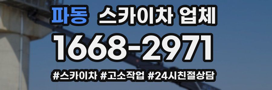 파동 스카이차 업체