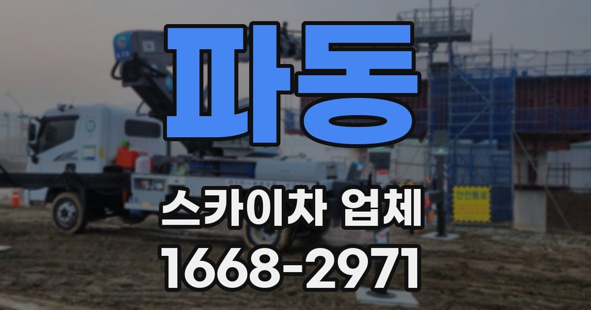 파동 스카이차 업체