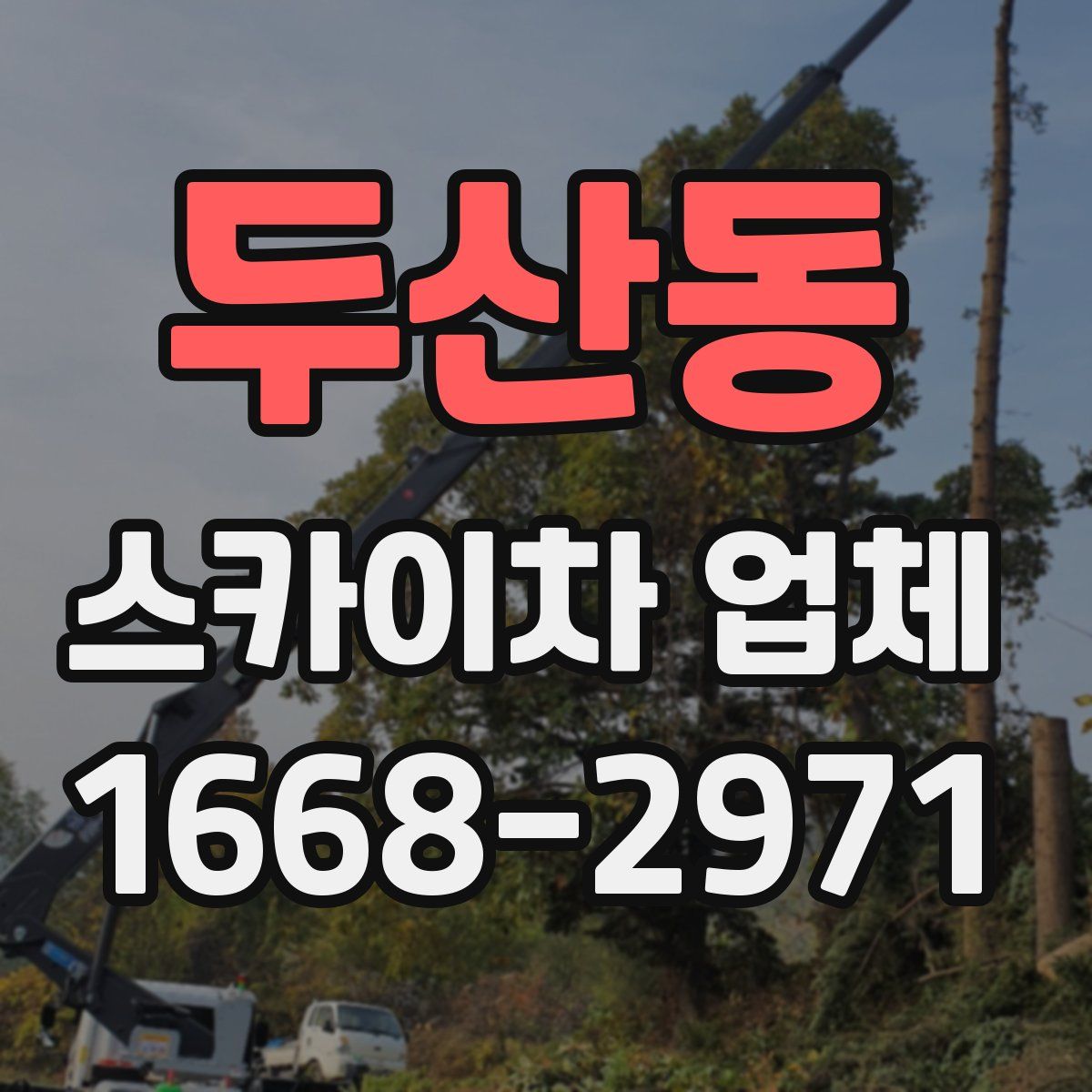 두산동 스카이차 업체