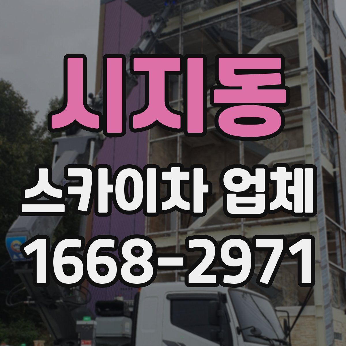 시지동 스카이차 업체