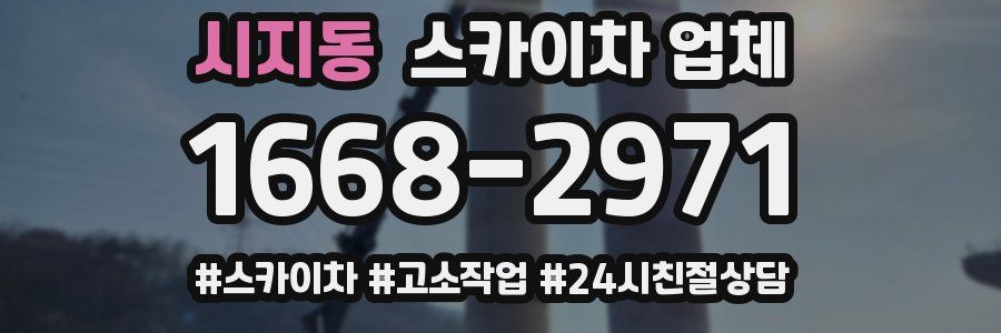 시지동 스카이차 업체