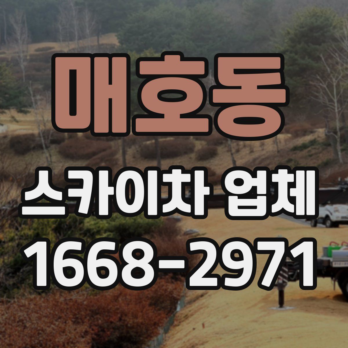 매호동 스카이차 업체
