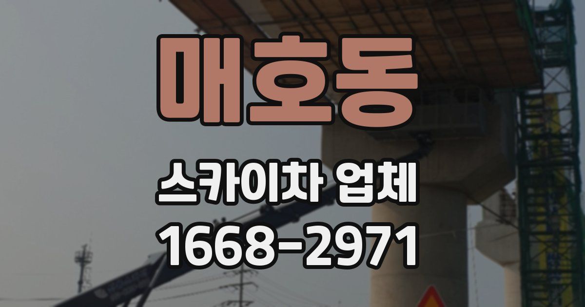 매호동 스카이차 업체