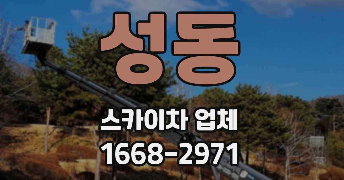 성동 스카이차 업체