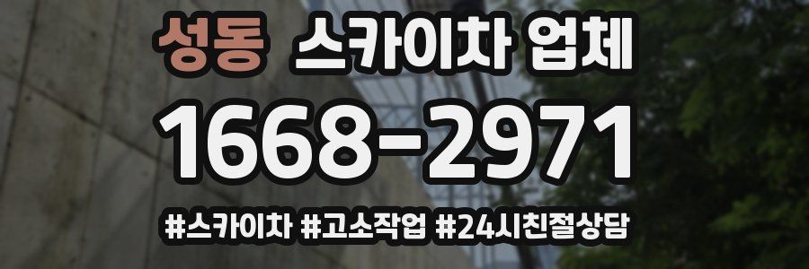 성동 스카이차 업체