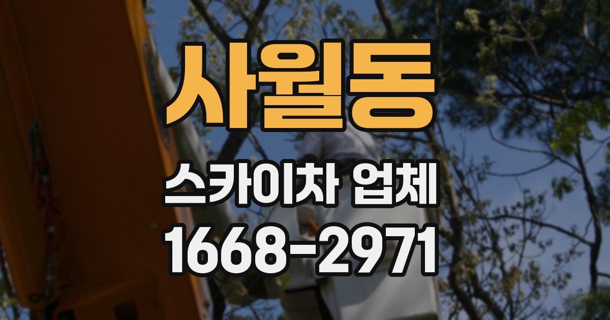 사월동 스카이차 업체