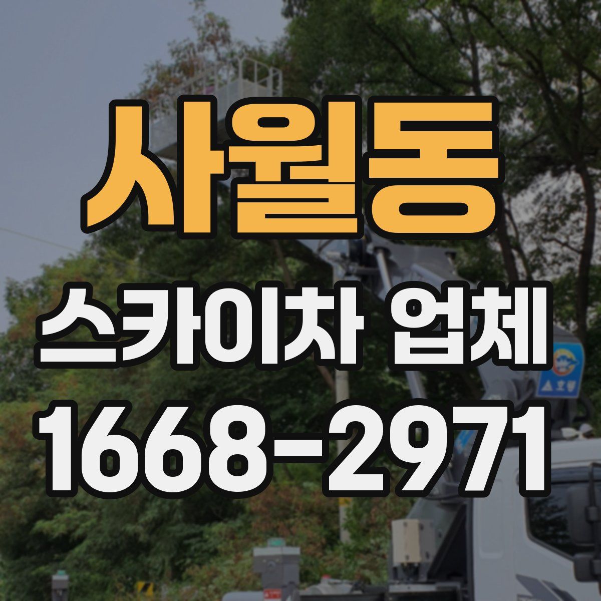 사월동 스카이차 업체