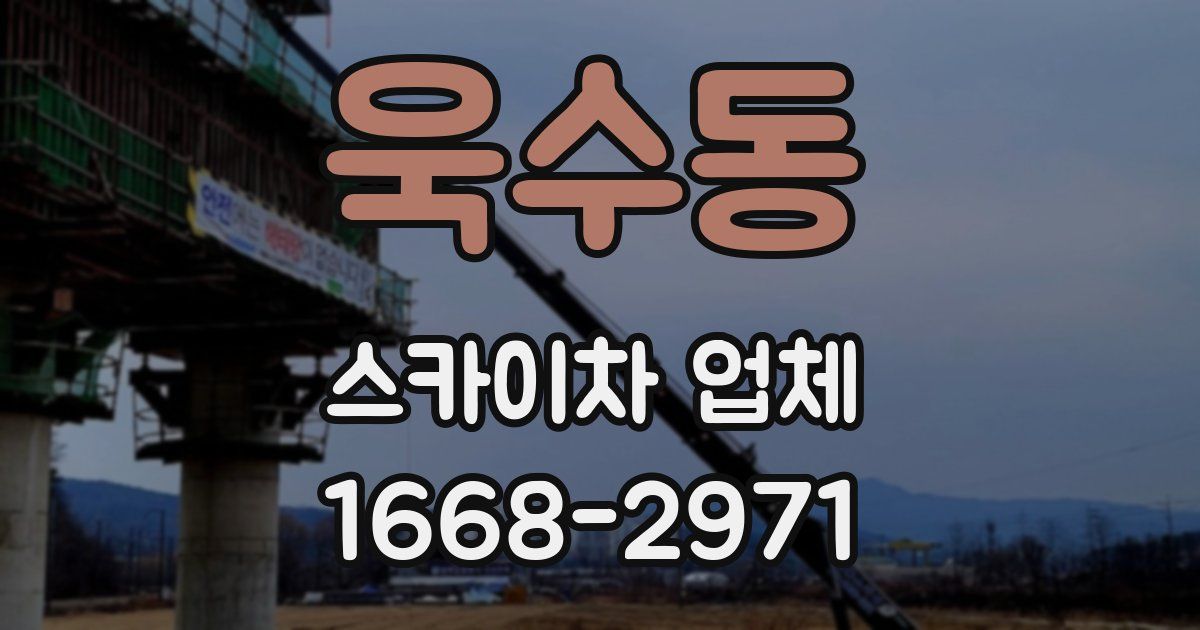 욱수동 스카이차 업체