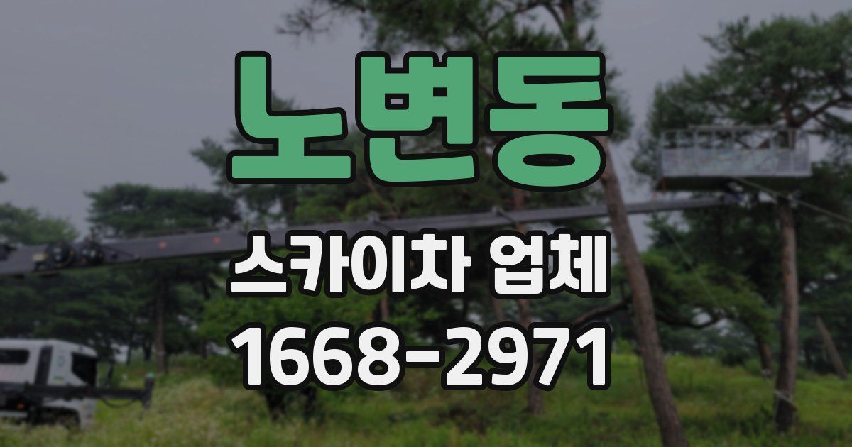 노변동 스카이차 업체