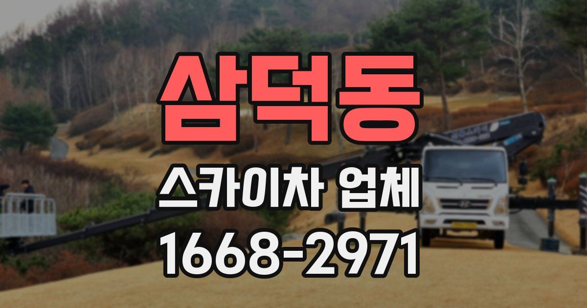 삼덕동 스카이차 업체