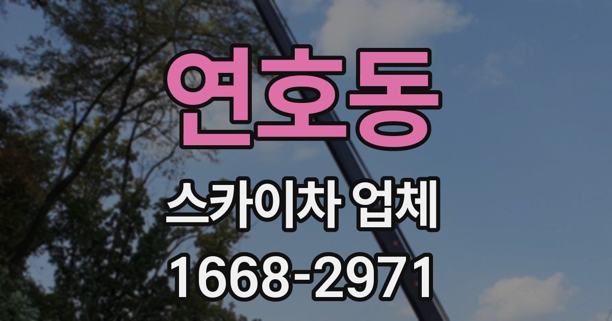 연호동 스카이차 업체