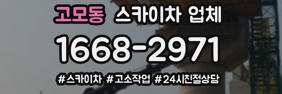 고모동 스카이차 업체