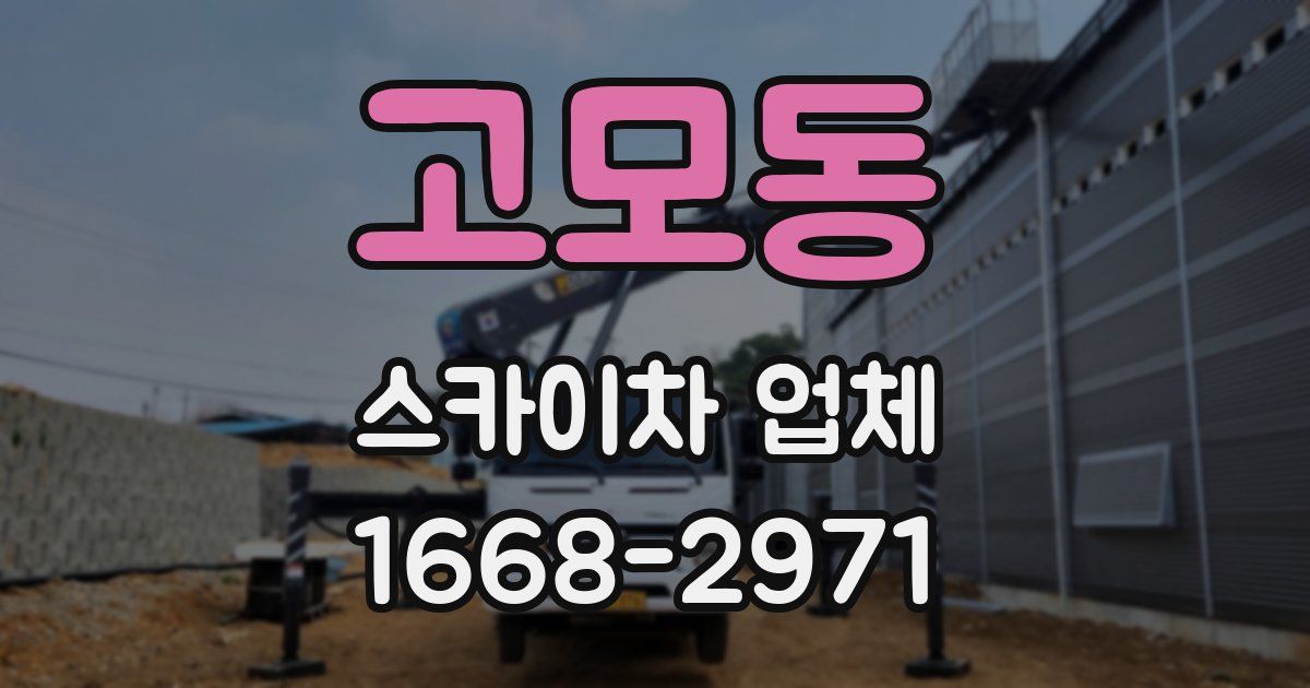 고모동 스카이차 업체