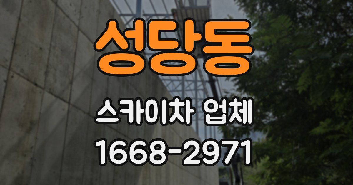 성당동 스카이차 업체
