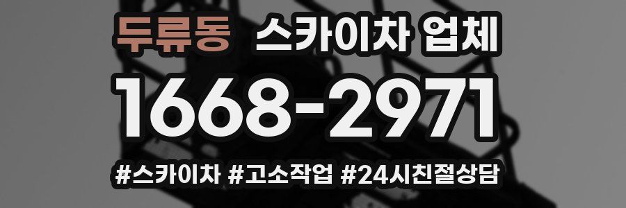 두류동 스카이차 업체