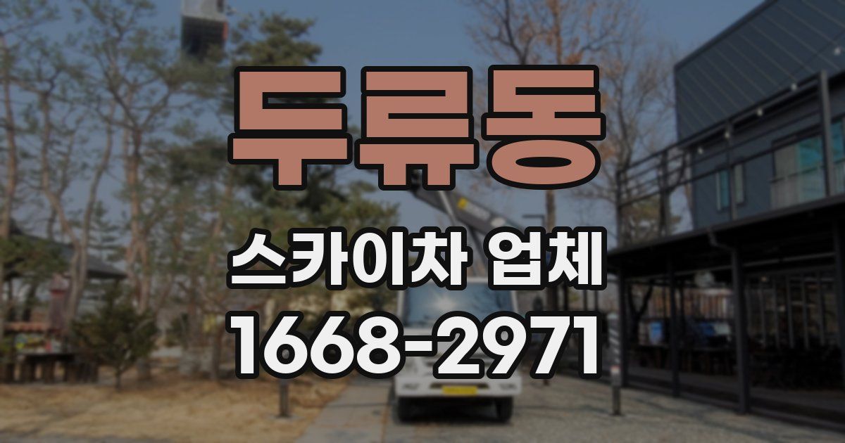 두류동 스카이차 업체