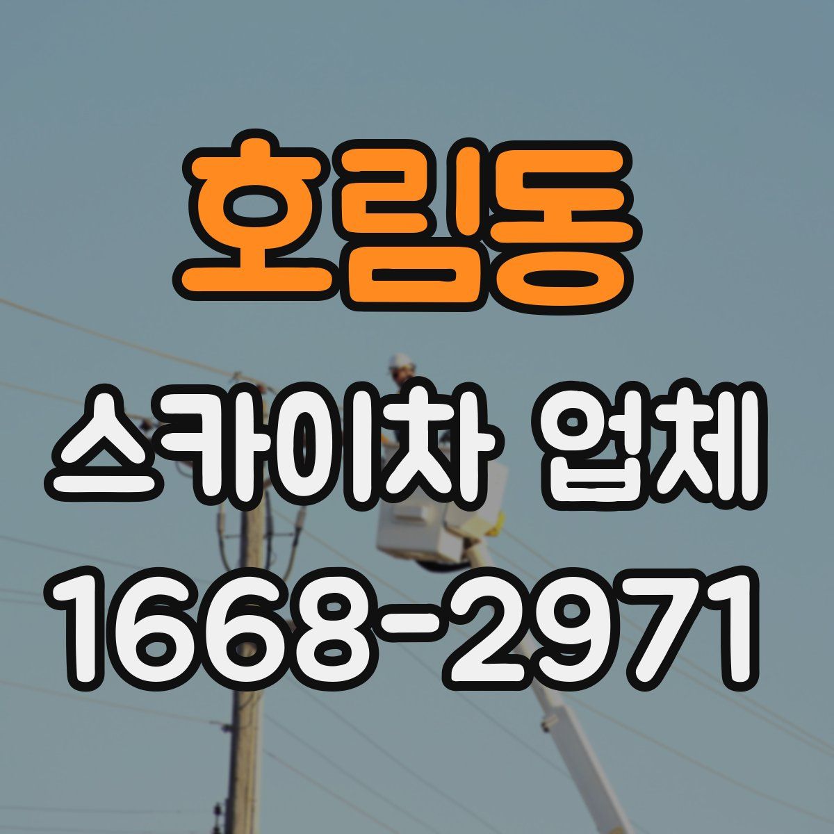 호림동 스카이차 업체