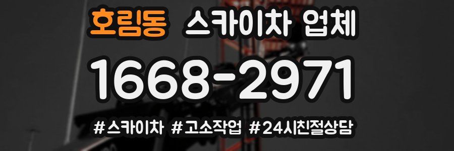 호림동 스카이차 업체