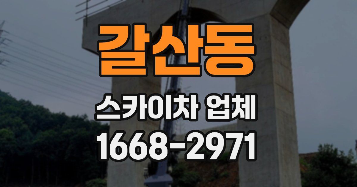 갈산동 스카이차 업체