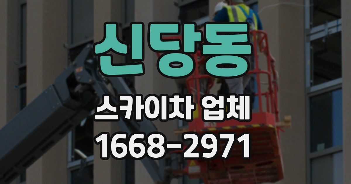 신당동 스카이차 업체