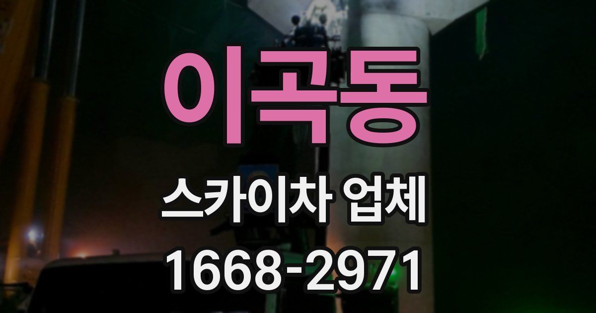 이곡동 스카이차 업체