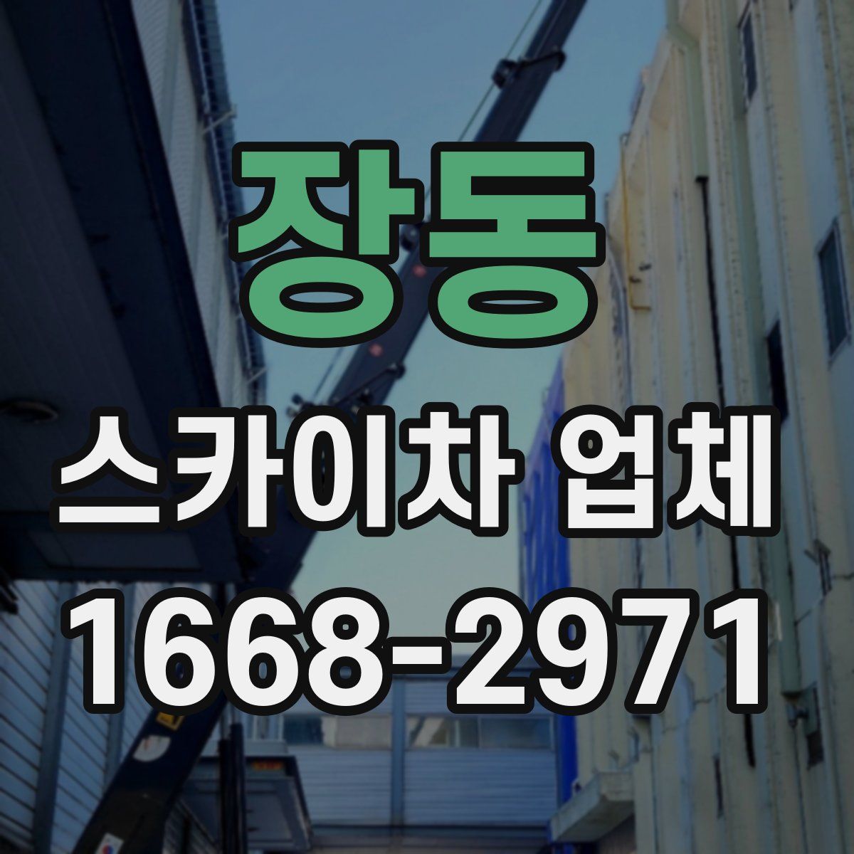 장동 스카이차 업체
