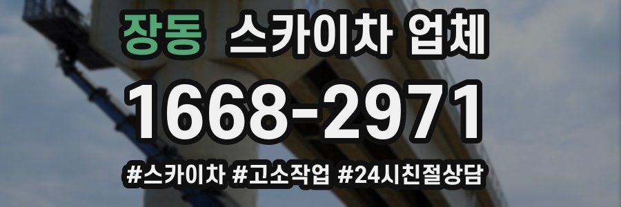 장동 스카이차 업체