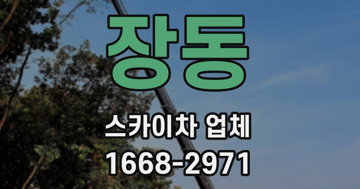 장동 스카이차 업체