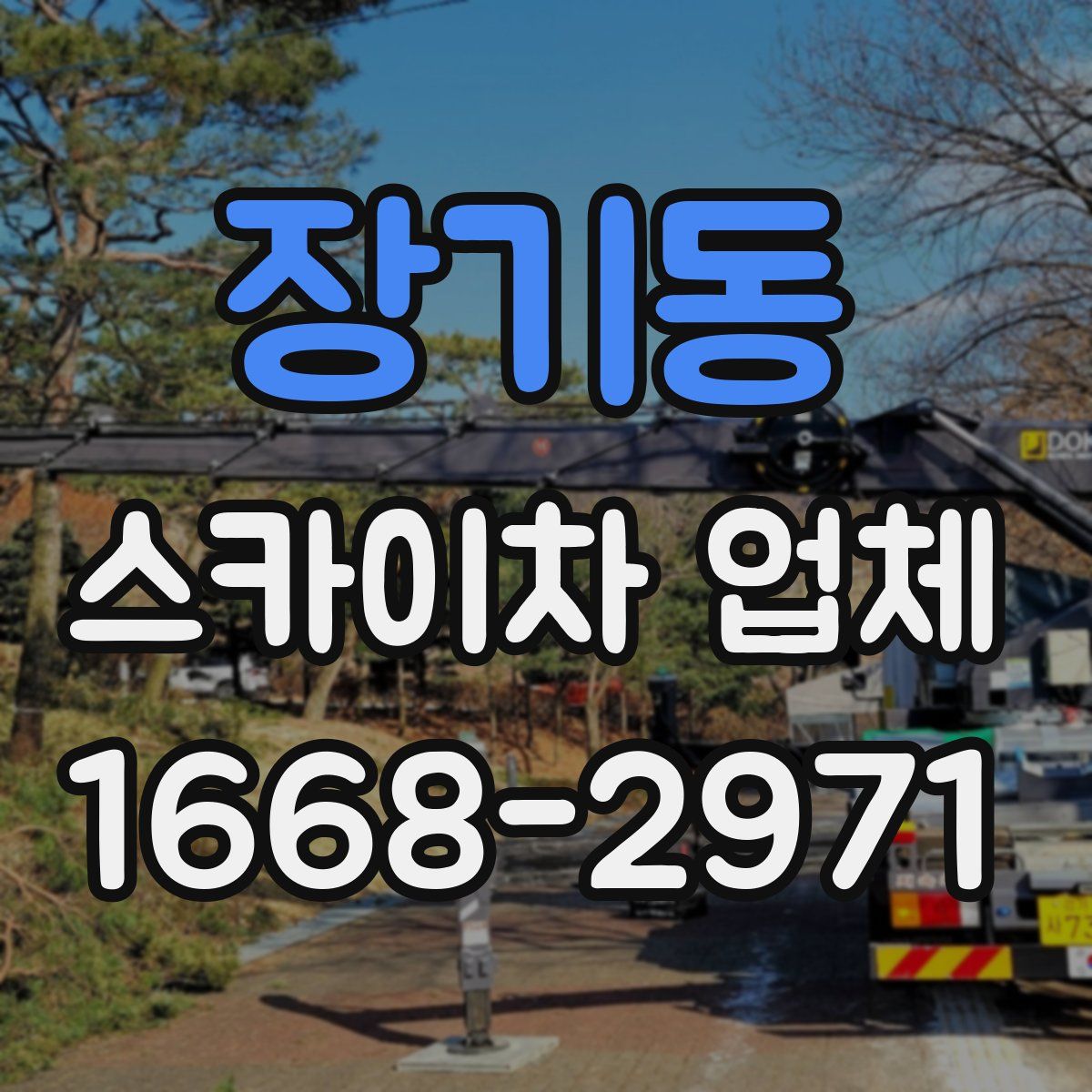 장기동 스카이차 업체