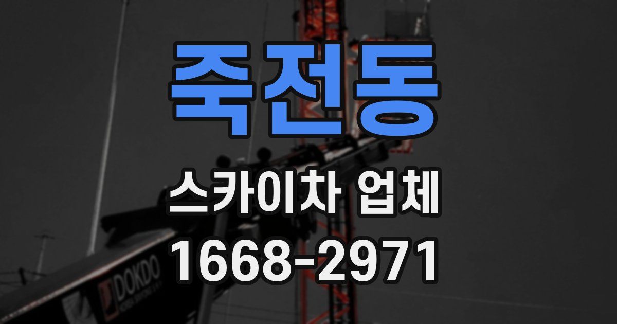 죽전동 스카이차 업체
