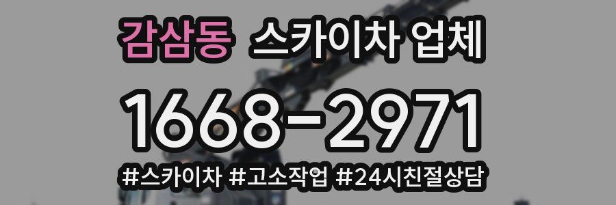 감삼동 스카이차 업체