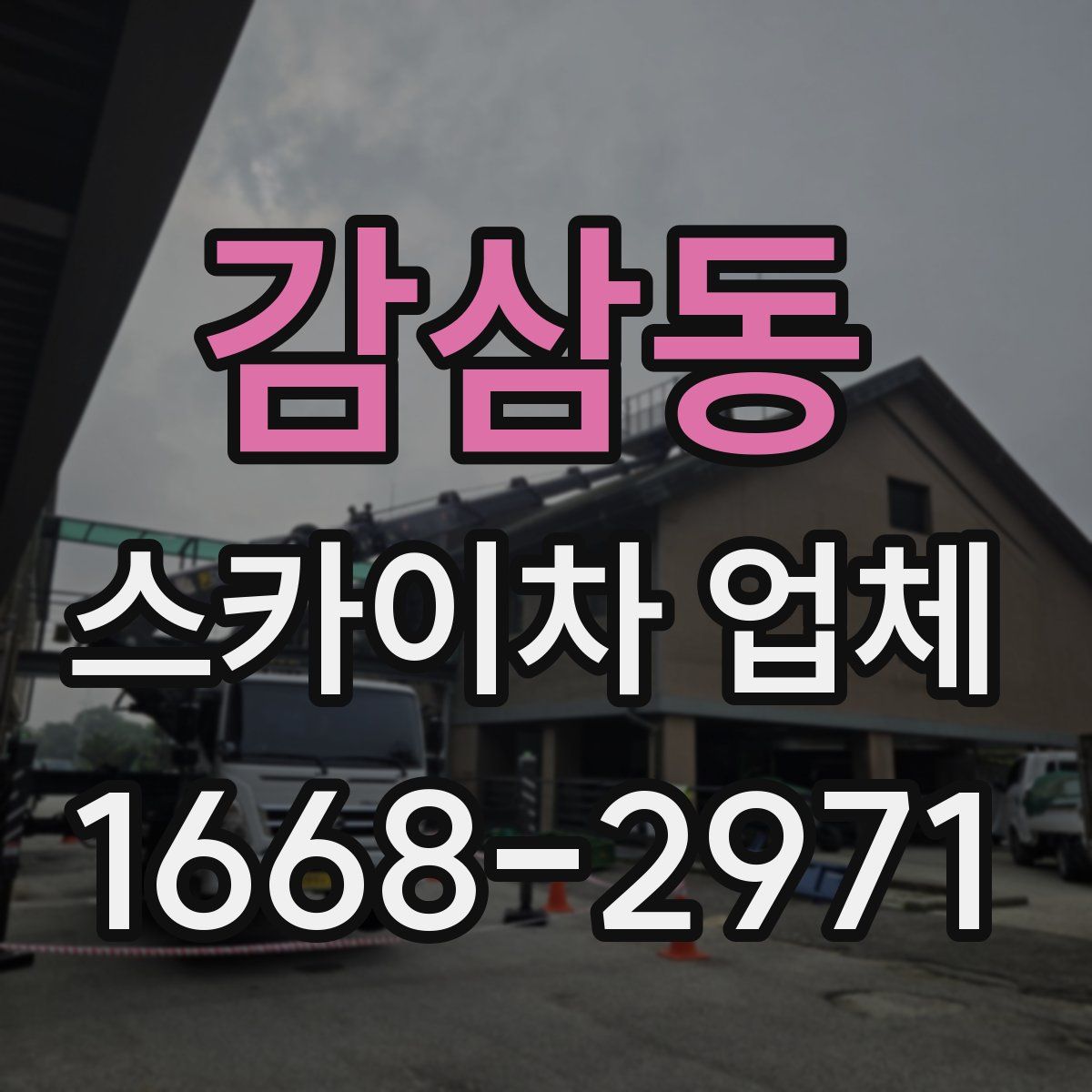 감삼동 스카이차 업체