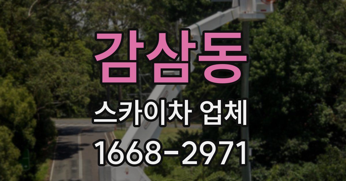 감삼동 스카이차 업체
