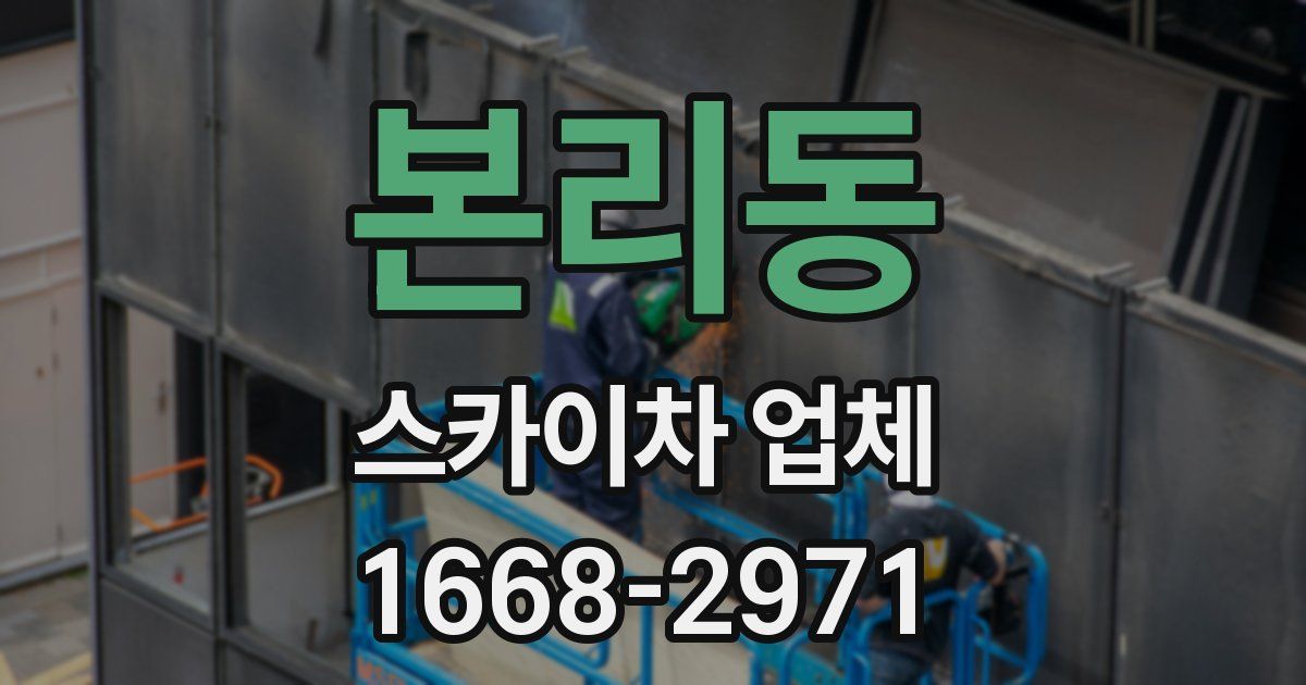 본리동 스카이차 업체