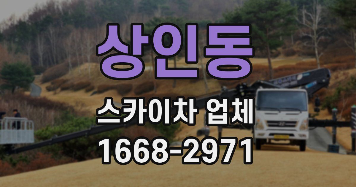 상인동 스카이차 업체