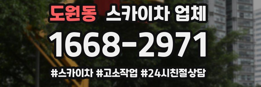 도원동 스카이차 업체