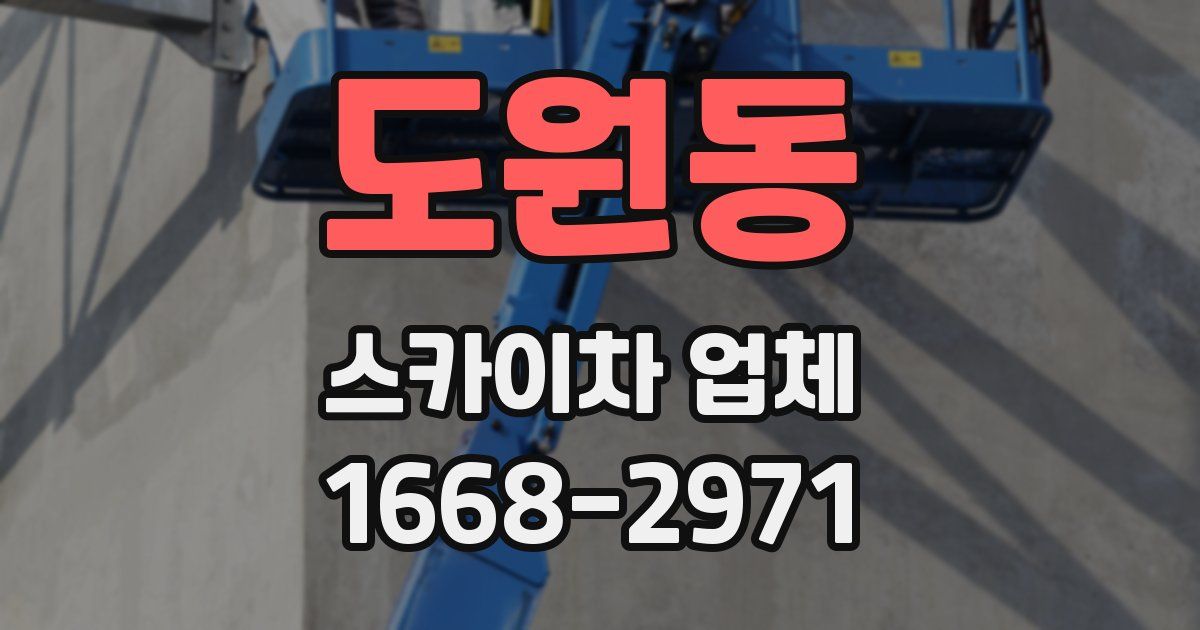 도원동 스카이차 업체