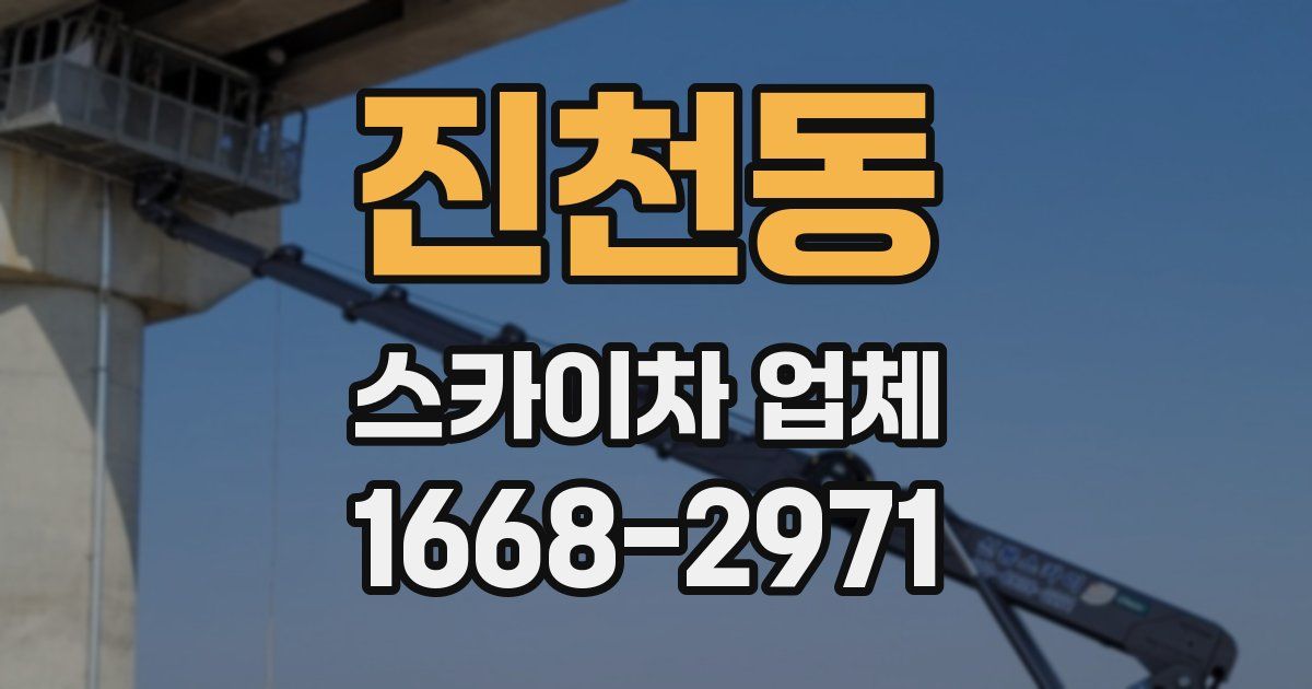 진천동 스카이차 업체