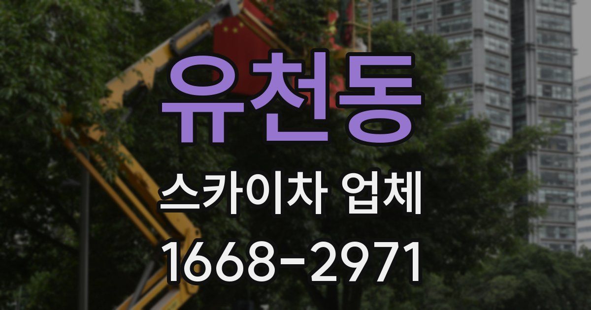 유천동 스카이차 업체